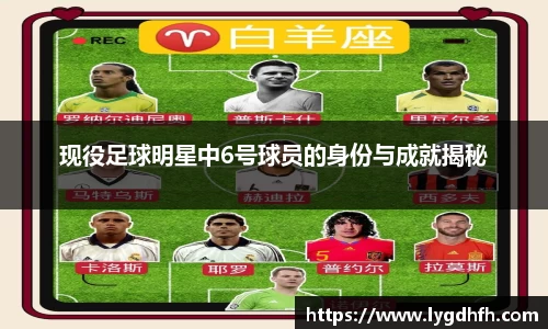现役足球明星中6号球员的身份与成就揭秘